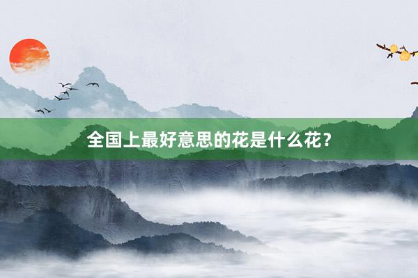 全国上最好意思的花是什么花?
